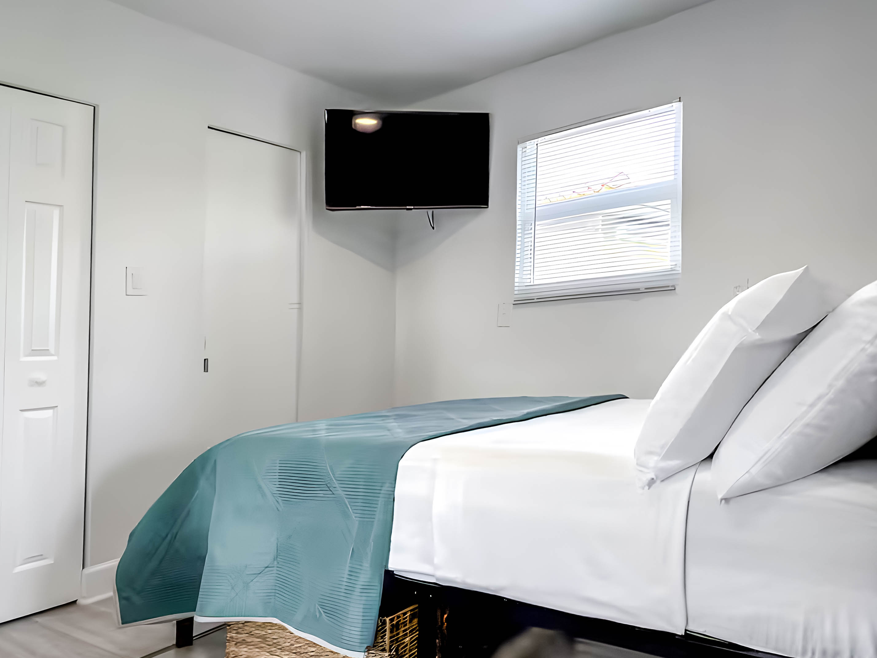 Studio — Plus (Large) · Pineapple 101 - Image 6