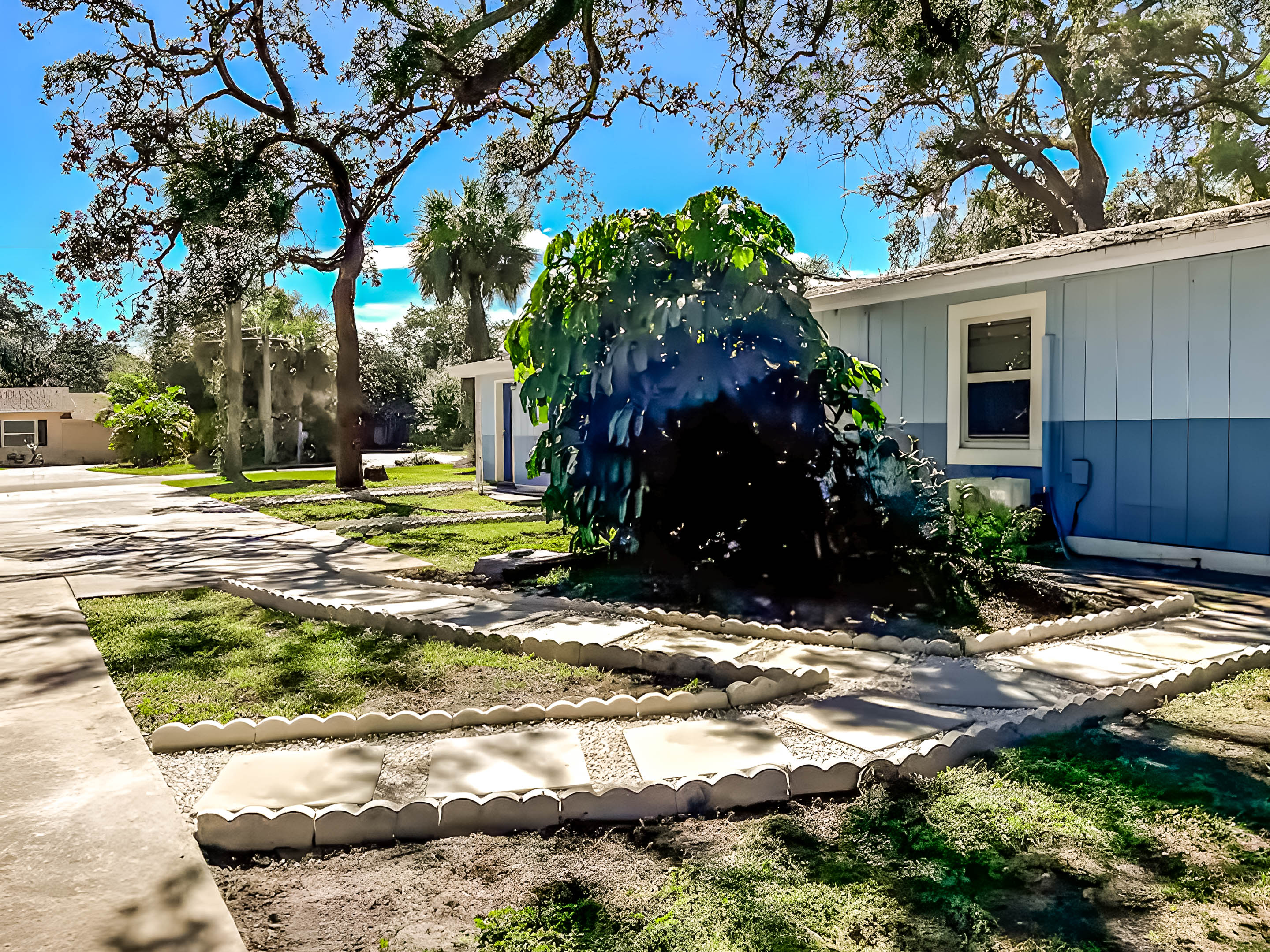 Studio — Plus (Large) · Pineapple 101 - Image 9