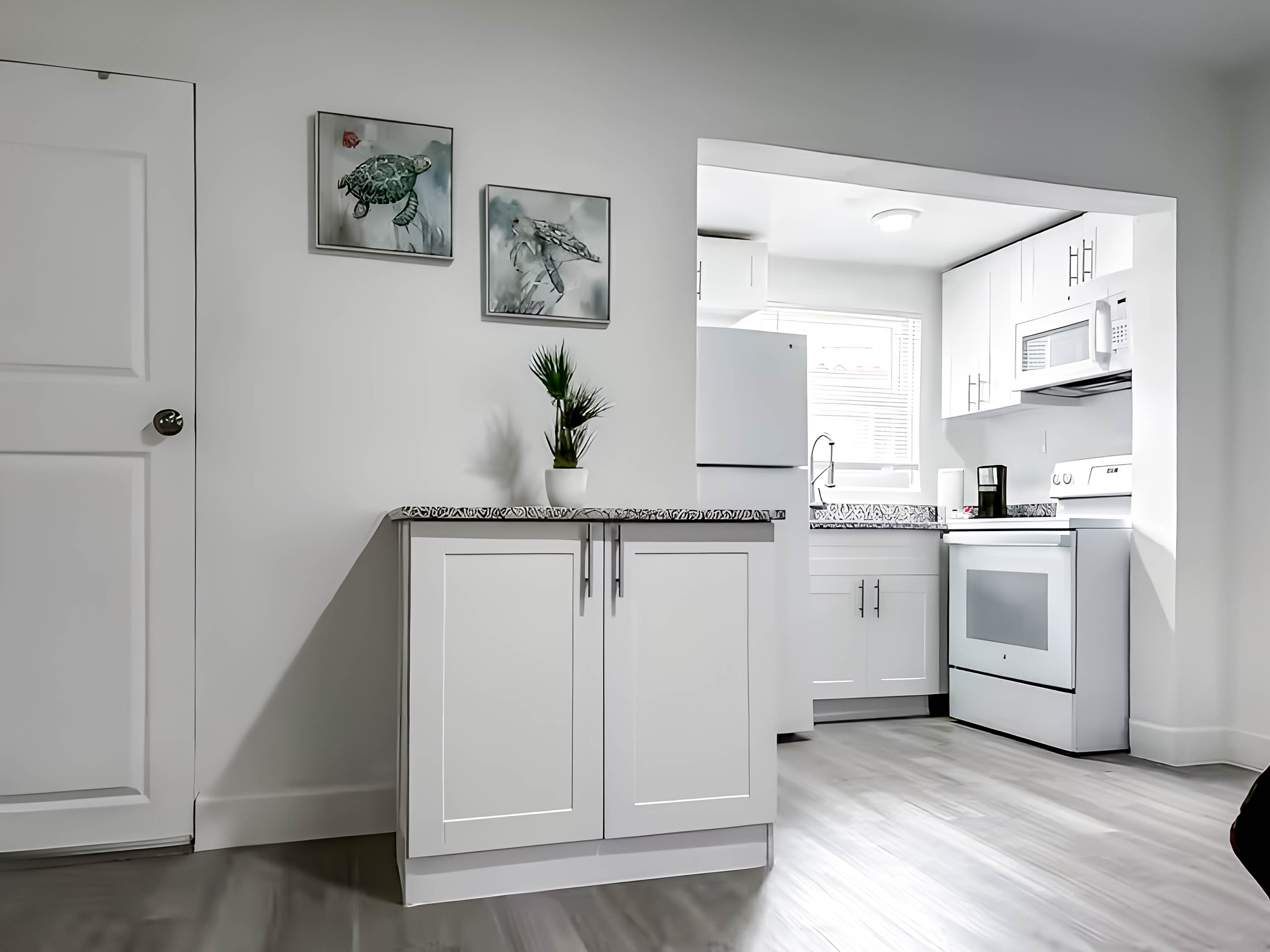 Studio - Comfort · Pineapple 103 - Image 2